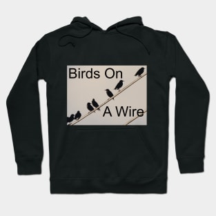 Birds on a Wire Hoodie